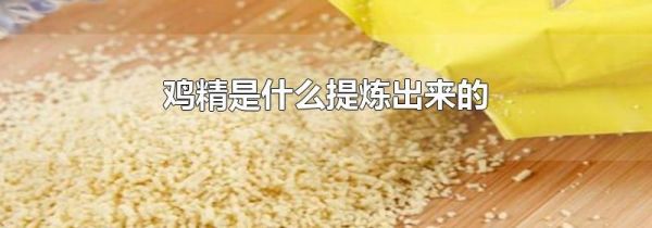 鸡精是什么提炼出来的