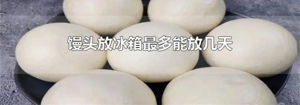馒头放冰箱最多能放几天