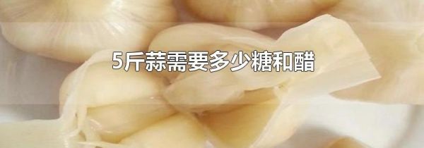 5斤蒜需要多少糖和醋
