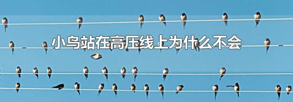 小鸟站在高压线上为什么不会触电