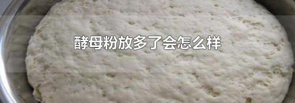 酵母粉放多了会怎么样