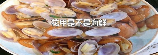 花甲是不是海鲜