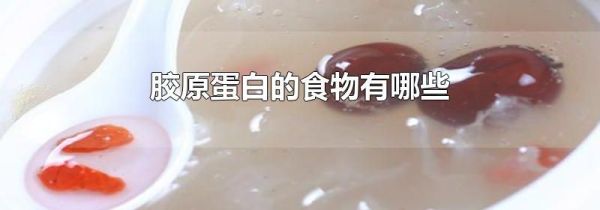 胶原蛋白的食物有哪些