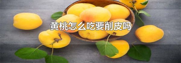 黄桃怎么吃要削皮吗