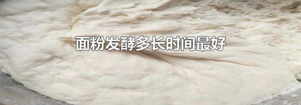 面粉发酵多长时间最好