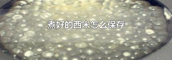 煮好的西米怎么保存