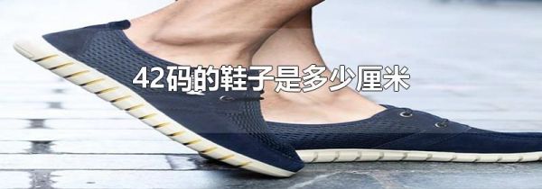 42码的鞋子是多少厘米