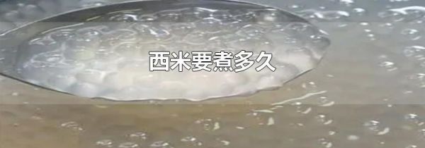 西米要煮多久
