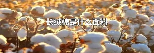 长绒棉是什么面料
