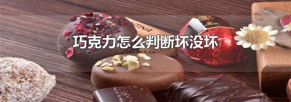 巧克力怎么判断坏没坏