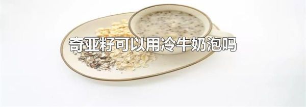 奇亚籽可以用冷牛奶泡吗