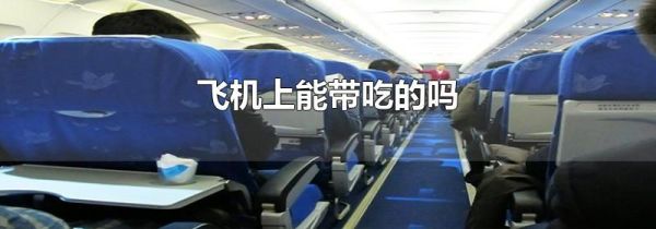 飞机上能带吃的吗