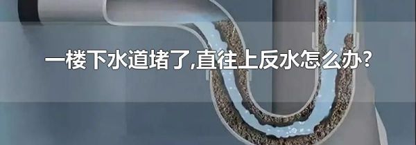 一楼下水道堵了,直往上反水怎么办?