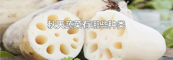秋天蔬菜有哪些种类