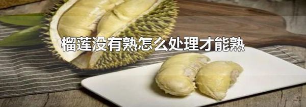 榴莲没有熟怎么处理才能熟