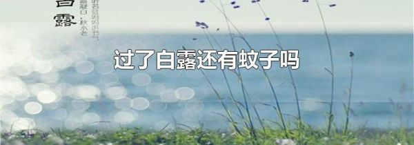 过了白露还有蚊子吗