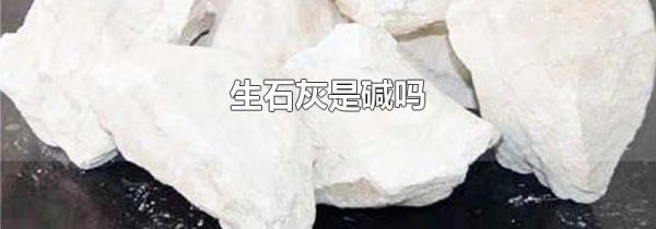 生石灰是碱吗
