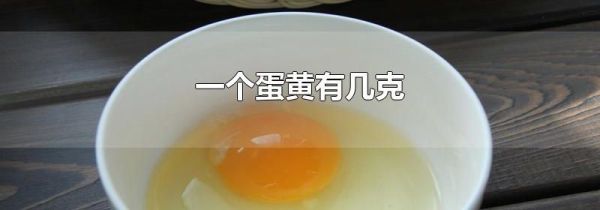 一个蛋黄有几克