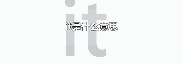 it是什么意思