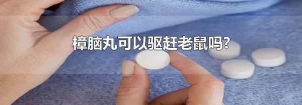 樟脑丸可以驱赶老鼠吗?