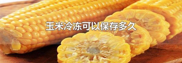 玉米冷冻可以保存多久