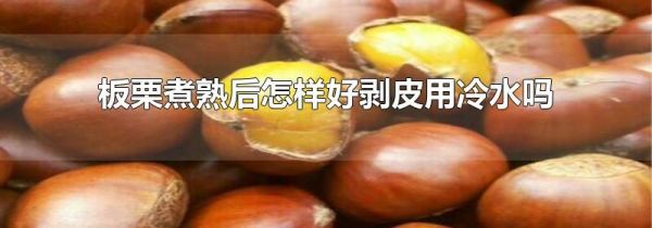 板栗煮熟后怎样好剥皮用冷水吗