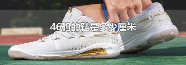 46码的鞋是多少厘米