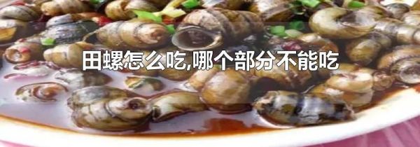 田螺怎么吃,哪个部分不能吃