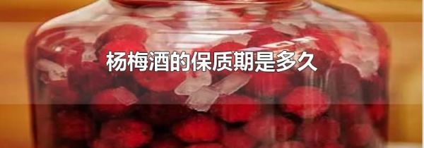 杨梅酒的保质期是多久