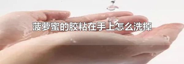 菠萝蜜的胶粘在手上怎么洗掉