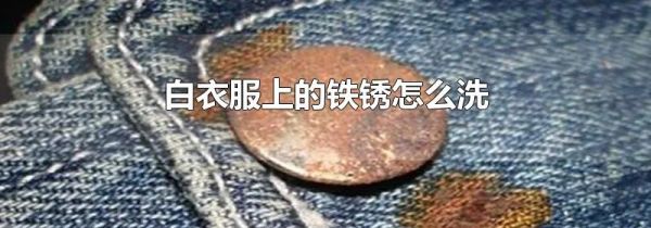 白衣服上的铁锈怎么洗