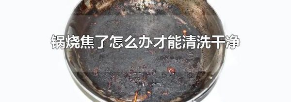 锅烧焦了怎么办才能清洗干净