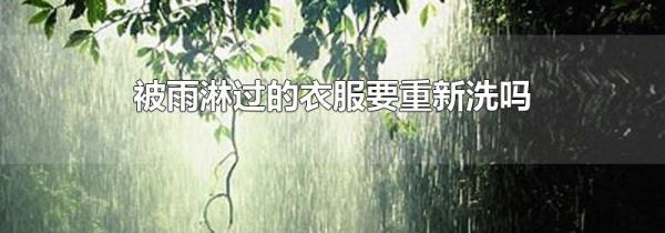 被雨淋过的衣服要重新洗吗