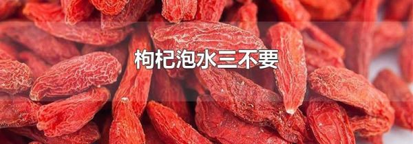 枸杞泡水三不要