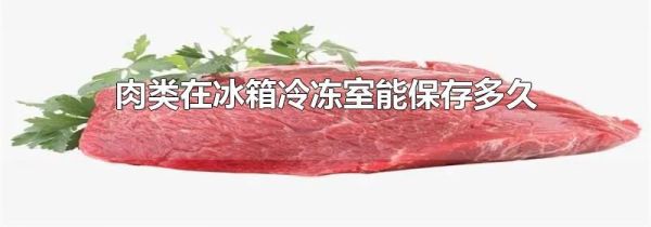 肉类在冰箱冷冻室能保存多久