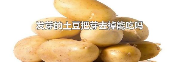 发芽的土豆把芽去掉能吃吗