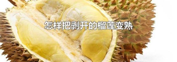 怎样把剥开的榴莲变熟