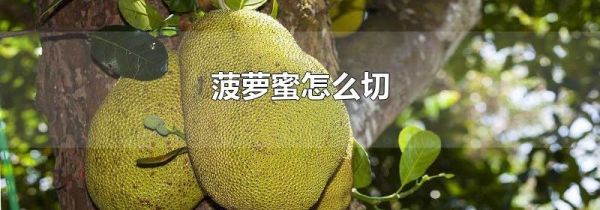 菠萝蜜怎么切