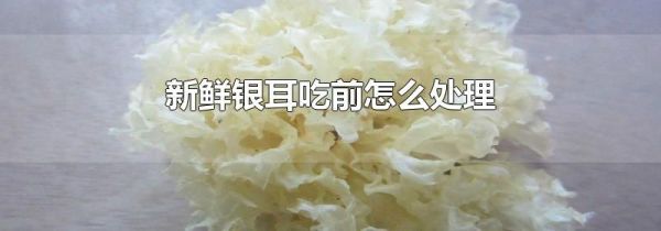 新鲜银耳吃前怎么处理