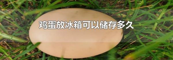 鸡蛋放冰箱可以储存多久
