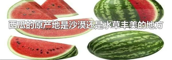 西瓜的原产地是沙漠还是水草丰美的地方