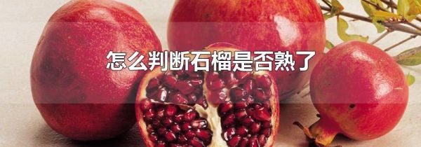 怎么判断石榴是否熟了