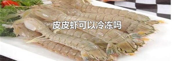 皮皮虾可以冷冻吗