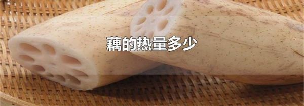 藕的热量多少
