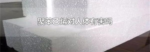 聚苯乙烯对人体有害吗