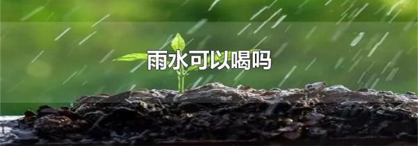 雨水可以喝吗