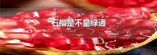 石榴是不是绿通