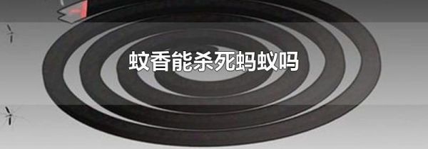蚊香能杀死蚂蚁吗