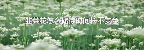 韭菜花怎么储存时间长不变色