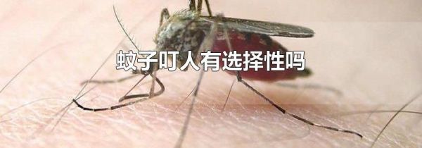 蚊子叮人有选择性吗